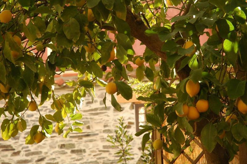 Casa Rural El Arco La Estrella  Exteriér fotografie